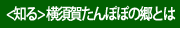 たんぽぽの郷について