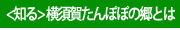 たんぽぽの郷について